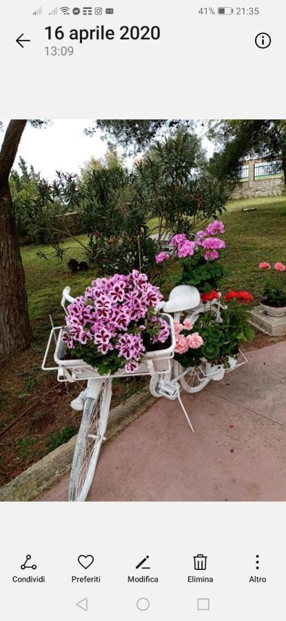 La Dimora Di Nonno Nuccio Hotell Ragusa Exteriör bild