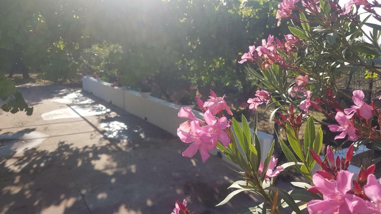 La Dimora Di Nonno Nuccio Hotell Ragusa Exteriör bild